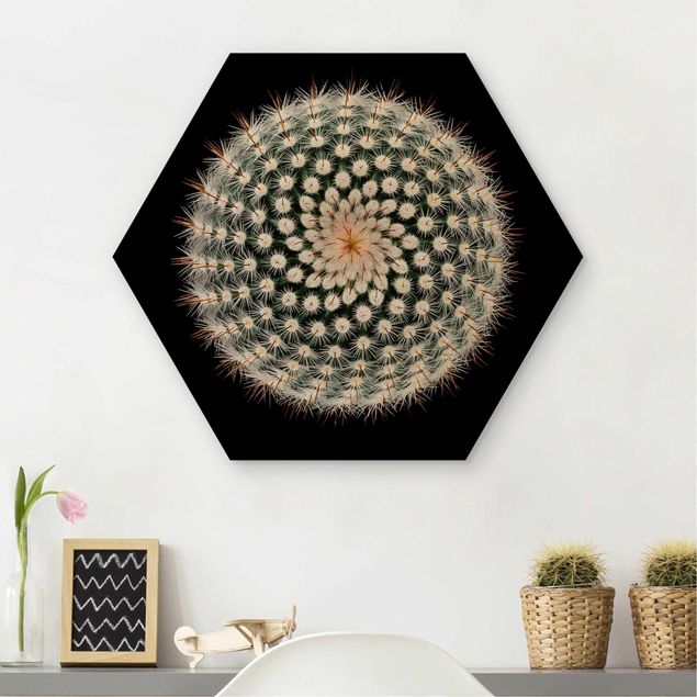 Holzbilder Muster Kaktusblüte