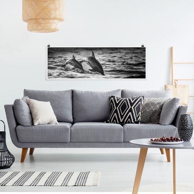 Poster - Zwei springende Delfine - Panorama Querformat