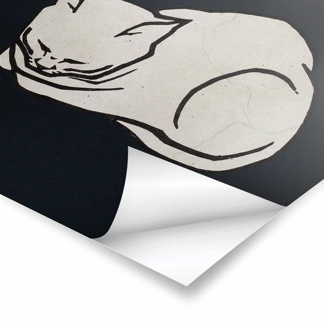 Poster kaufen Schlafende Katze Illustration