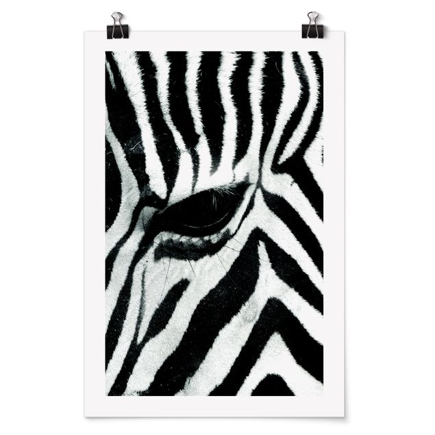 Bilder Zebra Crossing No.3