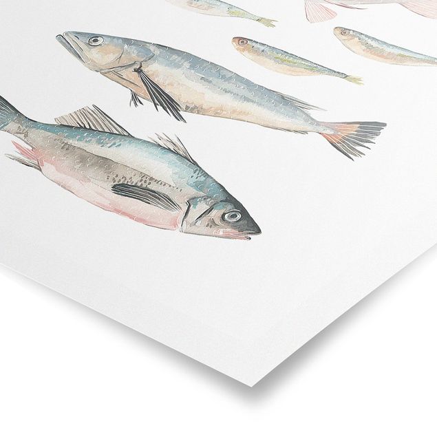Wandbilder Sieben Fische in Aquarell II