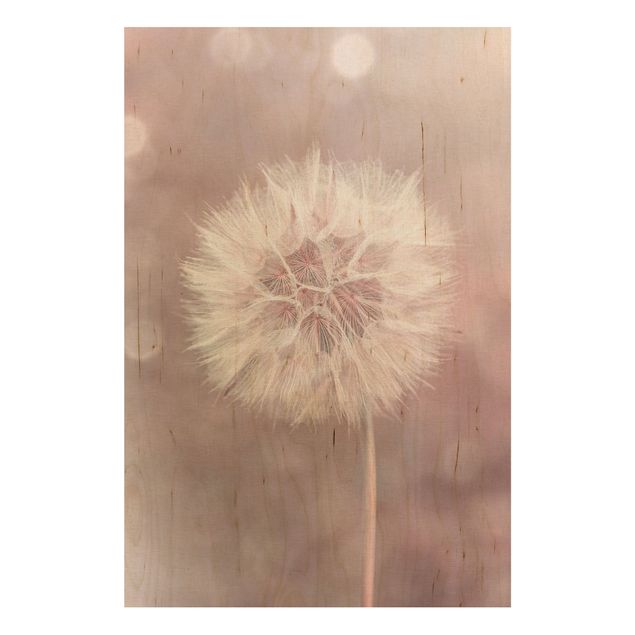 Holzbilder Vintage Pusteblume Bokeh rosa