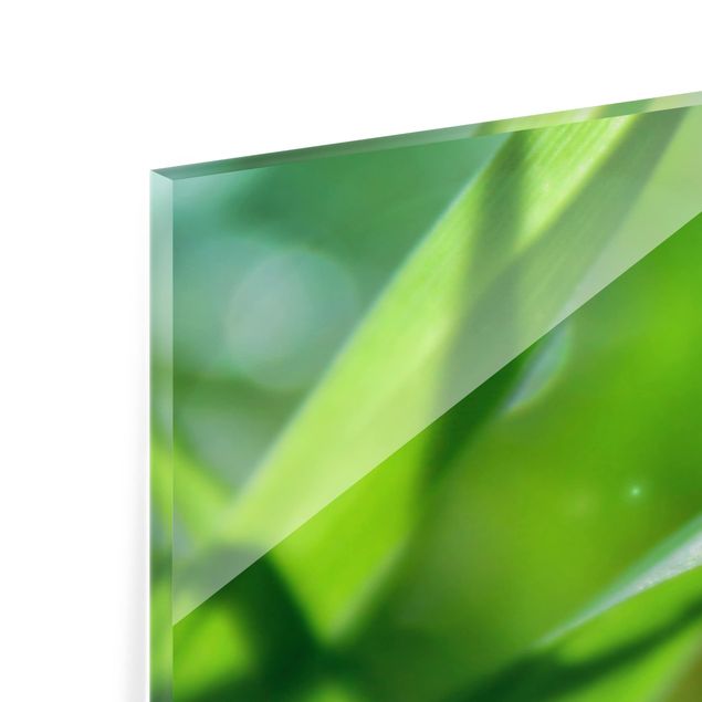 Spritzschutz Glas - Green Ambiance II - Panorama - 5:2
