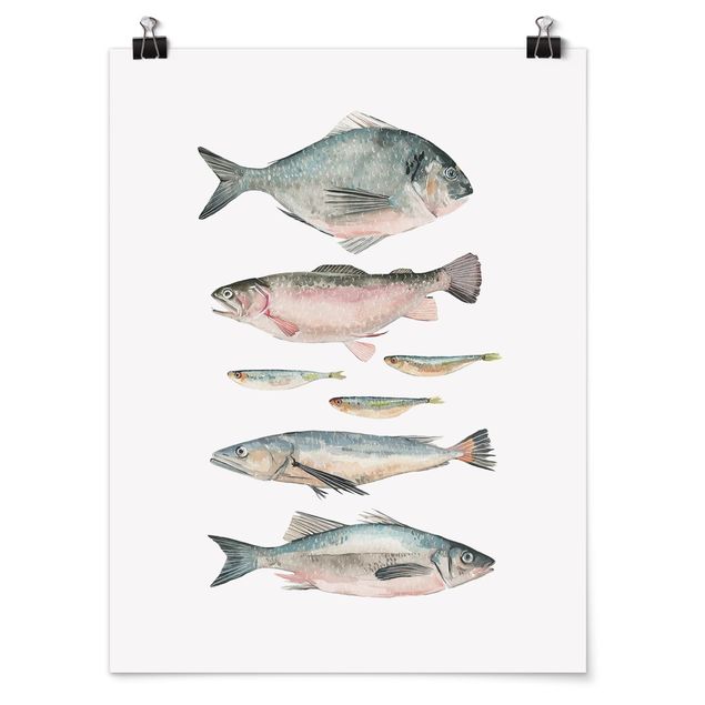 Moderne Poster Sieben Fische in Aquarell II
