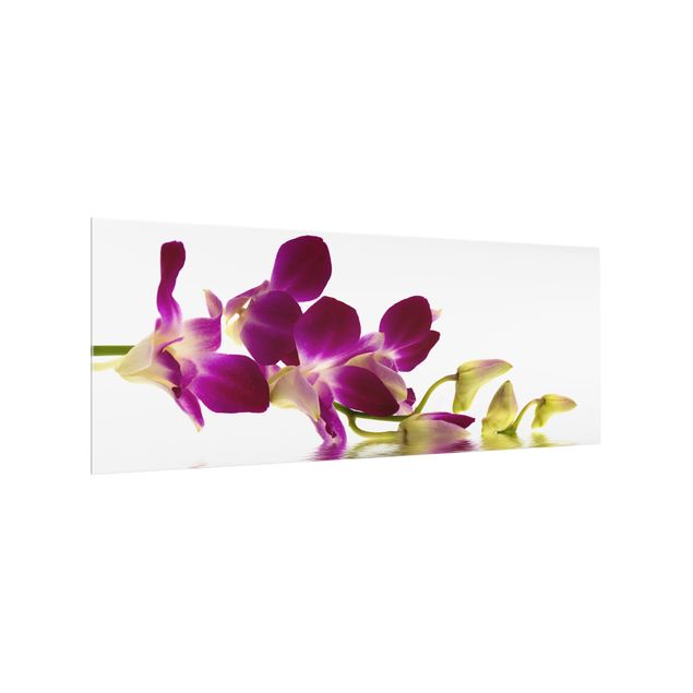 Spritzschutz Pink Orchid Waters