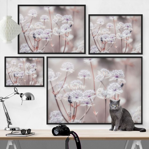 Bild mit Rahmen - Federleichte Wildblumen - Querformat