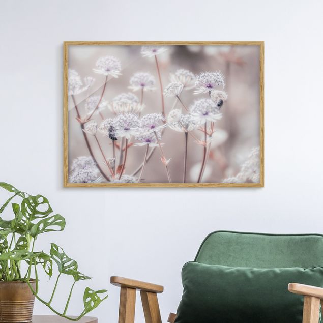 Moderne Bilder mit Rahmen Federleichte Wildblumen