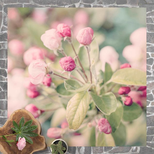 Teppich für Balkon Apfelblüte Bokeh rosa