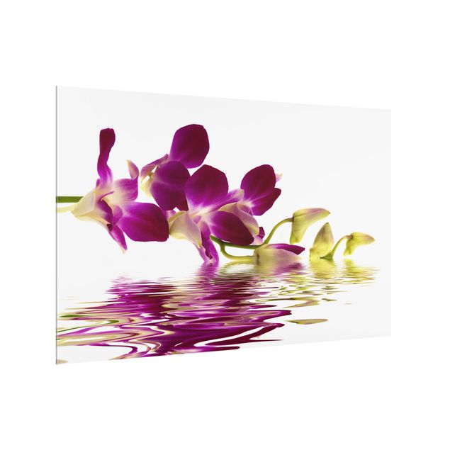 Spritzschutz Pink Orchid Waters
