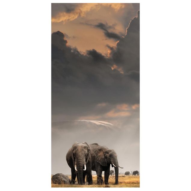Raumteiler - Elefanten der Savanne 250x120cm