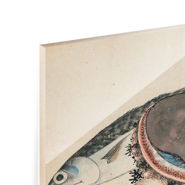 Spritzschutz Glas - Katsushika Hokusai - Makrele und Seemuscheln - Querformat - 3:2