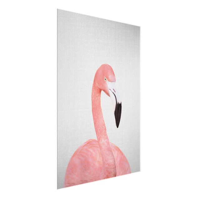 Bilder auf Glas Flamingo Fabian