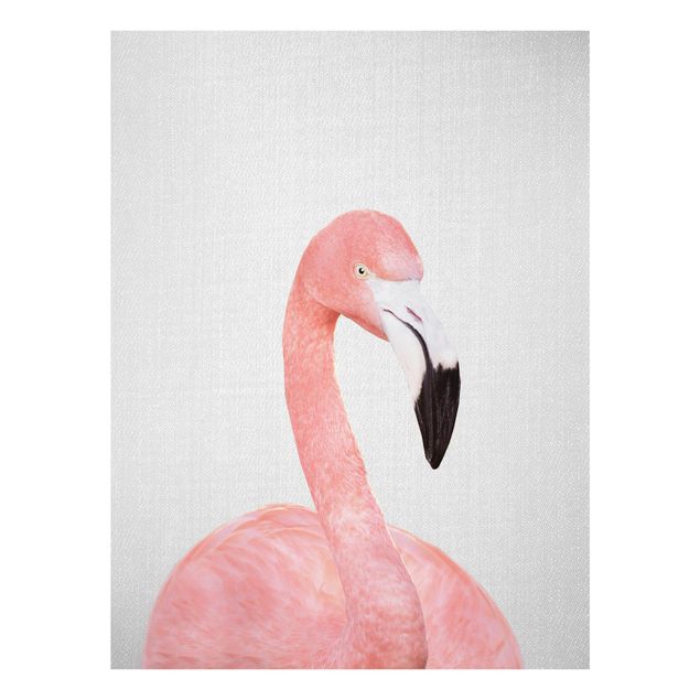 Glasbild - Flamingo Fabian - Hochformat
