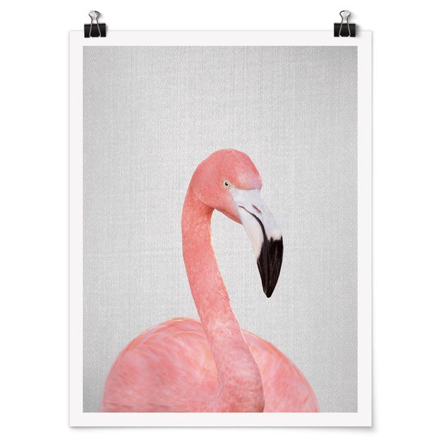schöne Bilder Flamingo Fabian