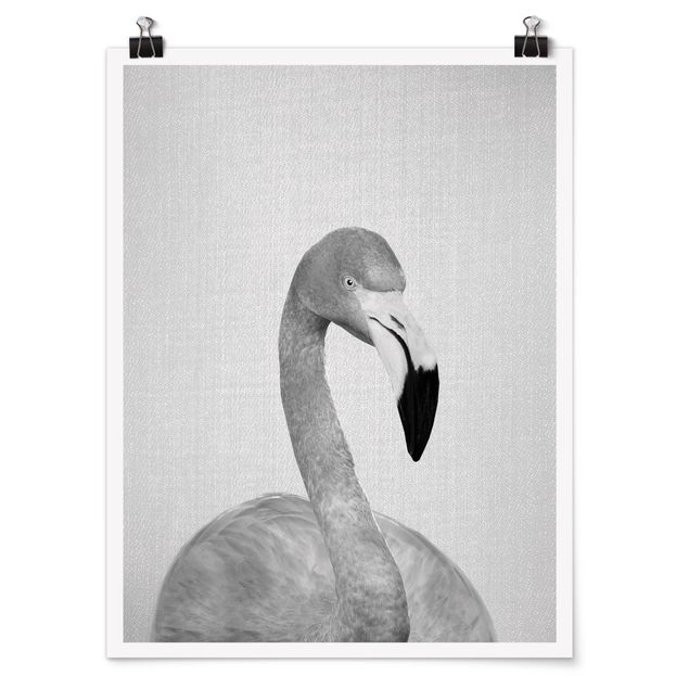 schöne Bilder Flamingo Fabian Schwarz Weiß