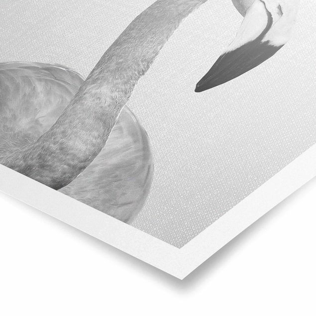 Poster kaufen Flamingo Fabian Schwarz Weiß