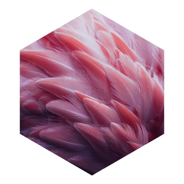 Hexagon Mustertapete selbstklebend - Flamingofedern Close-up