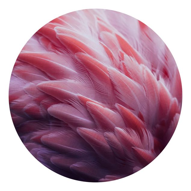 Runde Tapete selbstklebend - Flamingofedern Close-up