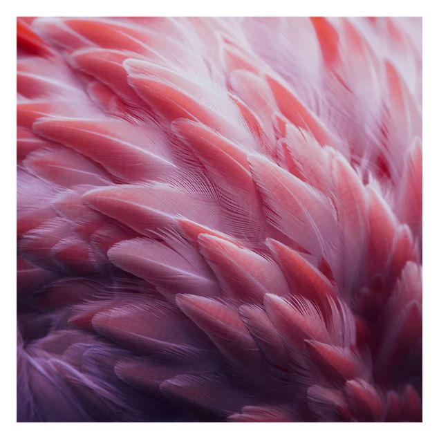 Fototapete - Flamingofedern Close up