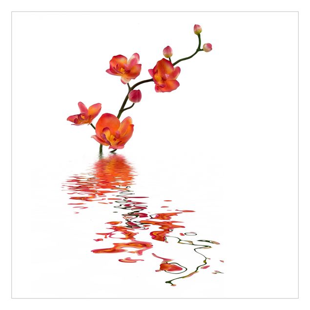 selbstklebende Tapete Flamy Orchid Waters