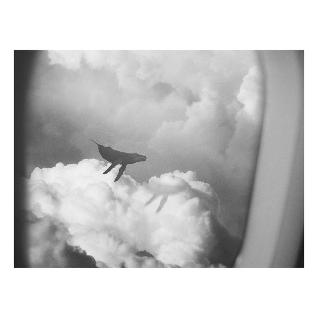 Glasbilder Fliegender Wal in den Wolken