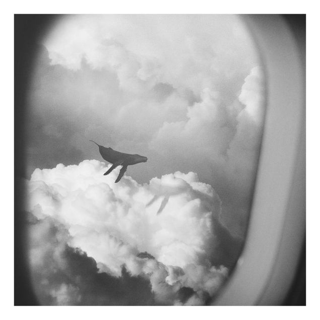 Glasbilder Fliegender Wal in den Wolken