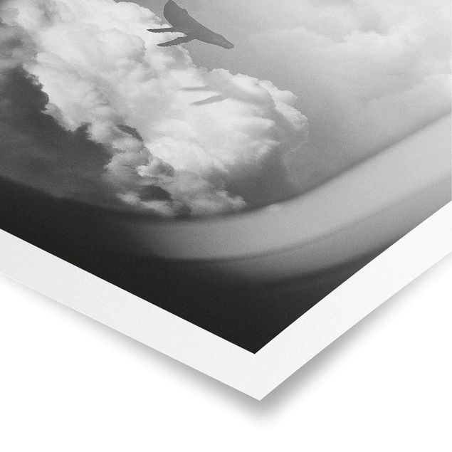 Jonas Loose Bilder Fliegender Wal in den Wolken