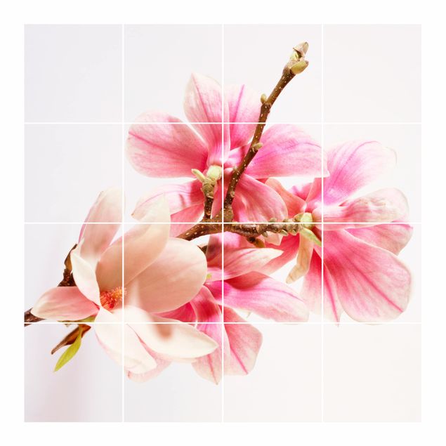 Fliesenbild - Magnolienblüten