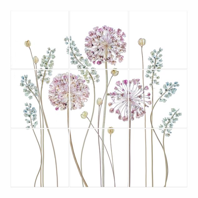 Fliesenbilder Allium Illustration