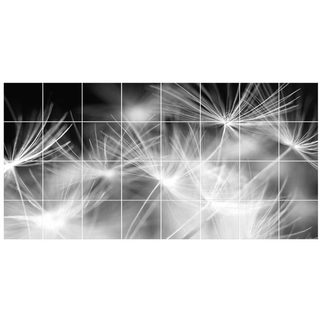 Fliesenbild - Bewegte Pusteblumen Nahaufnahme auf schwarzem Hintergrund