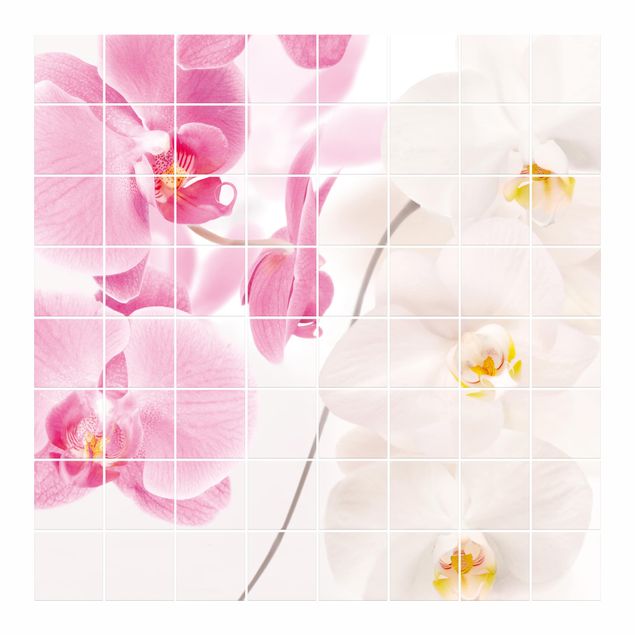 Fliesenbild - Delicate Orchids