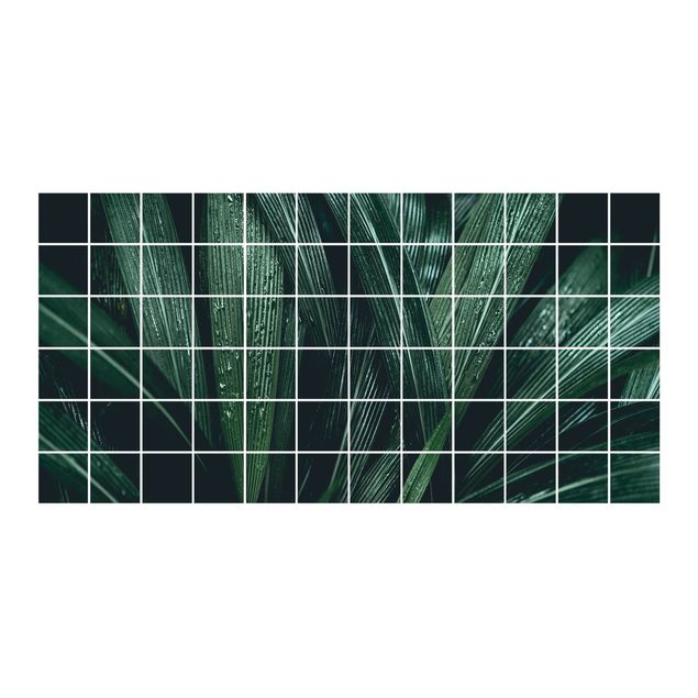 Fliesenfolie Grüne Palmenblätter