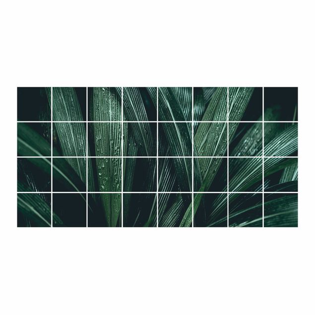 Fliesenbilder Grüne Palmenblätter