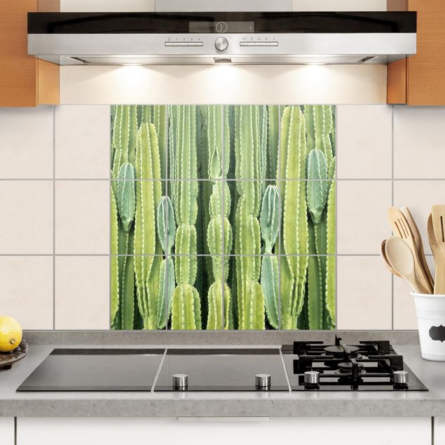 Fliesenfolie Kaktus Wand