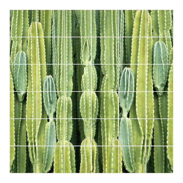 Fliesenbilder Kaktus Wand