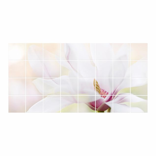 Fliesenbilder kaufen Zarte Magnolienblüte