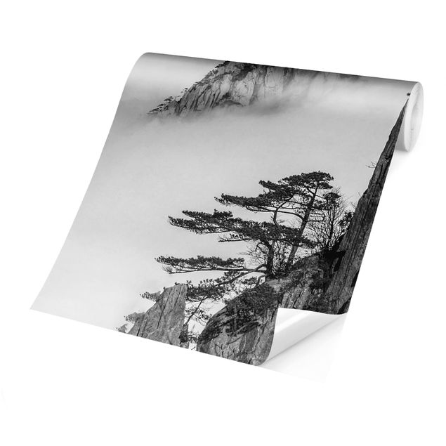 Fototapete - Felsen im Nebel schwarz-weiß