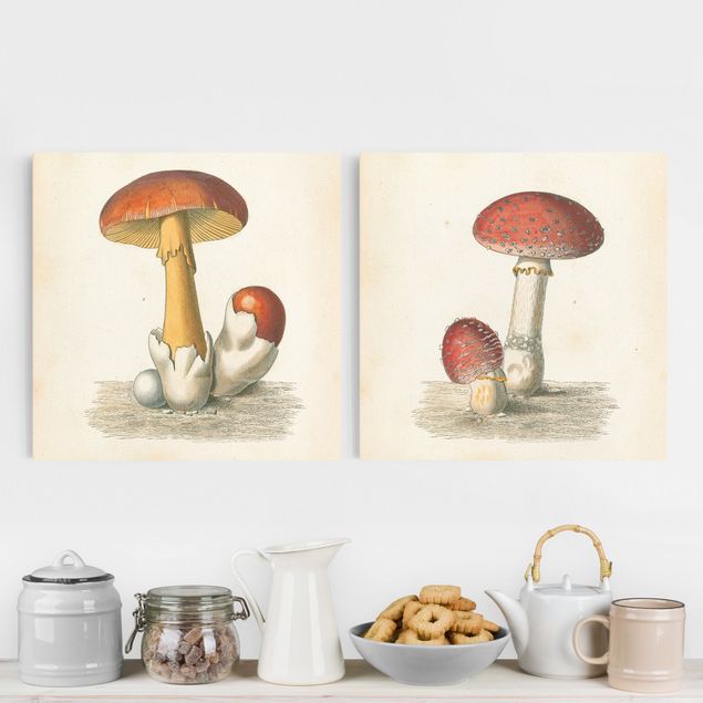 Leinwandbilder Vintage Französische Pilze