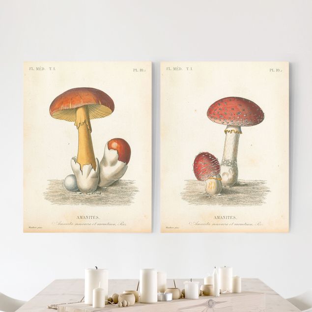 Leinwandbilder Vintage Französische Pilze
