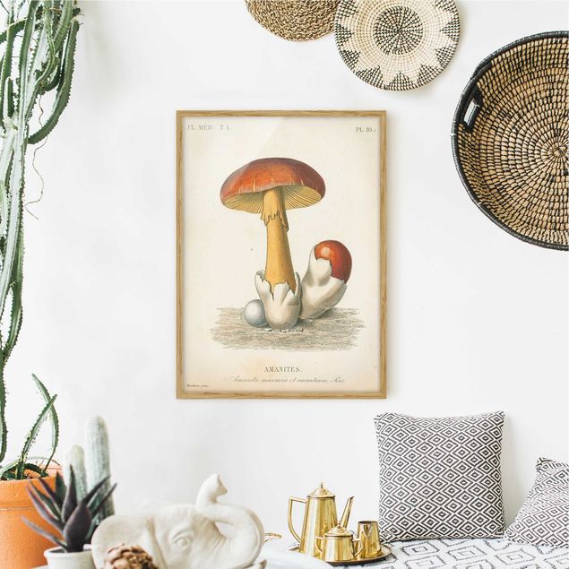 Moderne Bilder mit Rahmen Französische Pilze