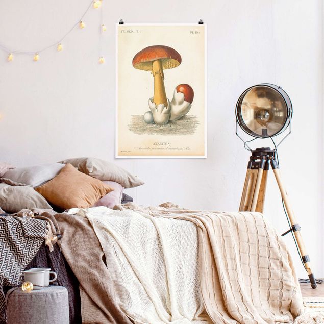 Vintage Poster Französische Pilze