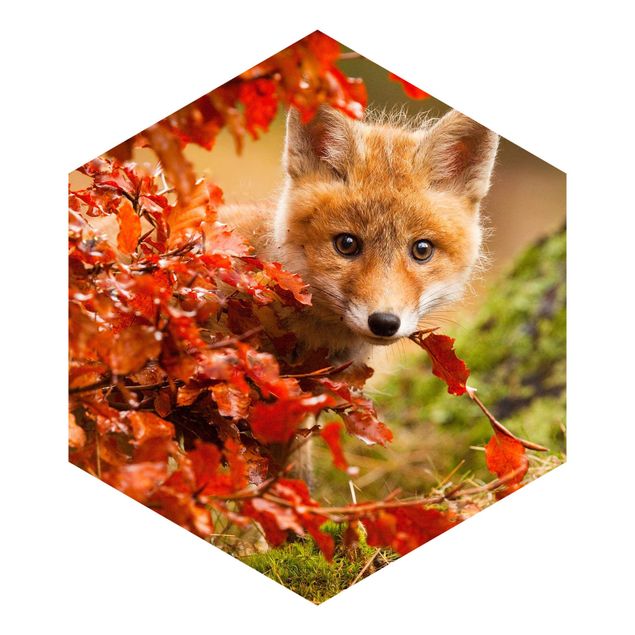 Hexagon Mustertapete selbstklebend - Fuchs im Herbst