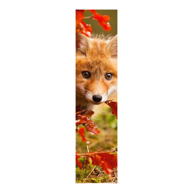 Schiebegardinen Set - Fuchs im Herbst - Flächenvorhänge