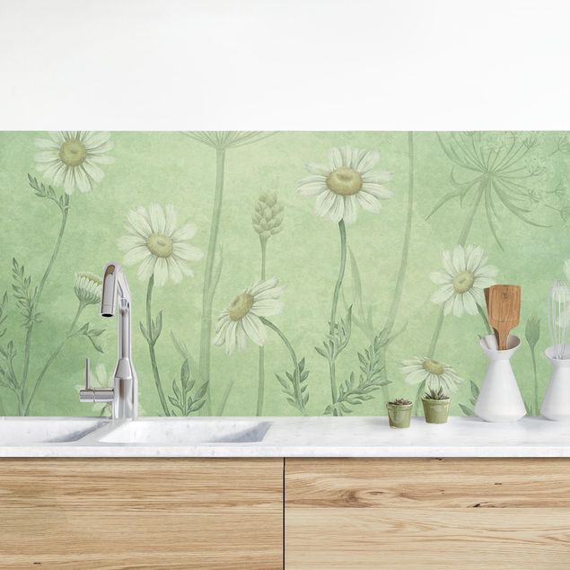 Platte Küchenrückwand Gänseblümchen im grünen Nebel