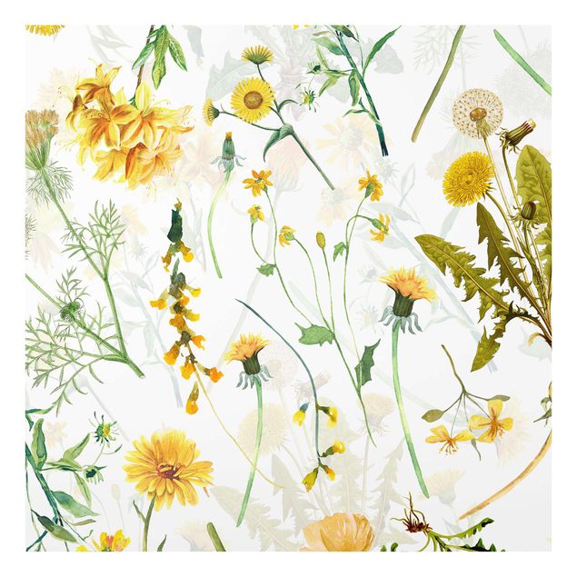 Spritzschutz Glas - Gelbe Wildblumen - Quadrat 1:1
