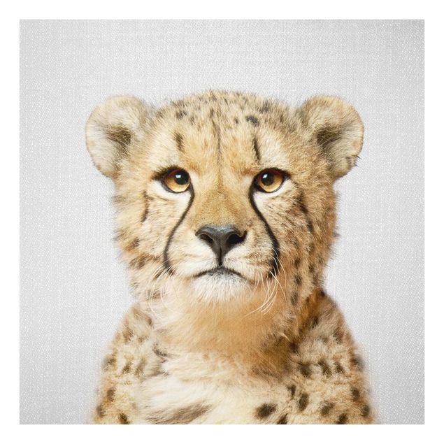 Glasbild - Gepard Gerald - Quadrat