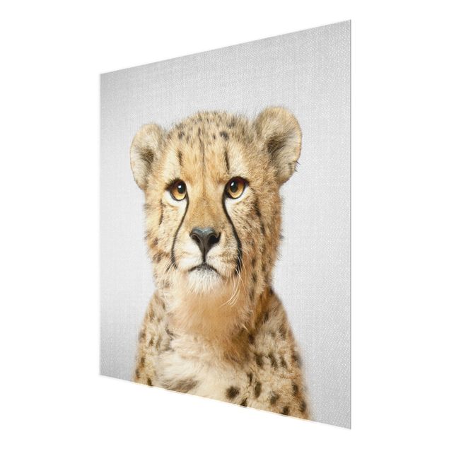 Glasbild - Gepard Gerald - Quadrat