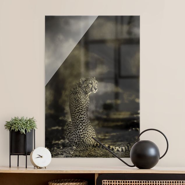 Glasbild schwarz-weiß Gepard in der Wildness