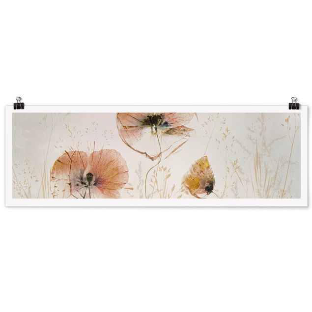 Moderne Poster Getrocknete Mohnblüten mit zarten Gräsern