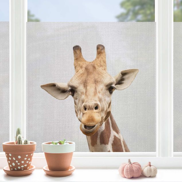 Tier Fensterbilder Giraffe Gundel